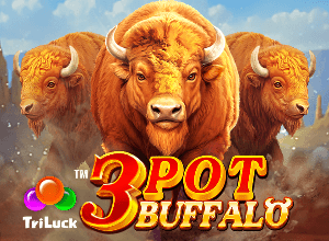 3 Pot Buffalo