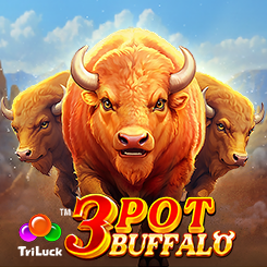 3 Pot Buffalo